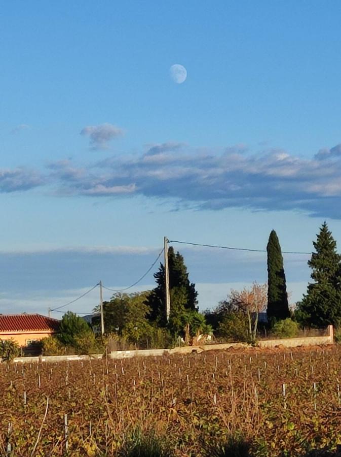 Chateau Angelique Villa Montroy Bagian luar foto