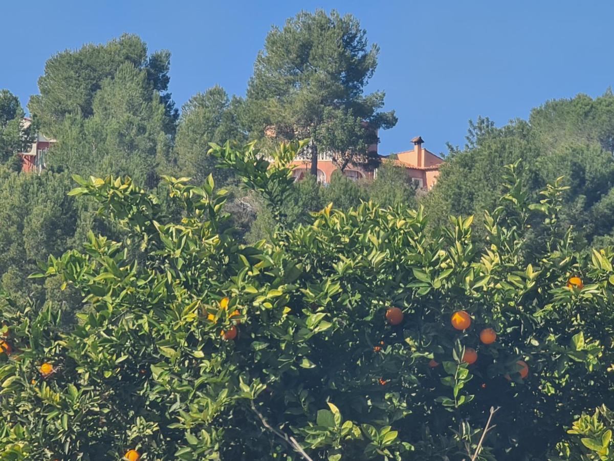 Chateau Angelique Villa Montroy Bagian luar foto